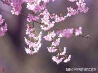 太原尚丰德贸易有限公司
