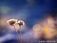 太原尚丰德贸易有限公司