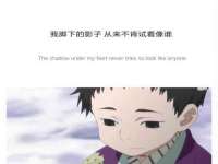 太原尚丰德贸易有限公司