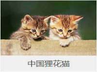 太原尚丰德贸易有限公司
