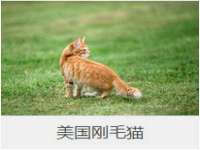 太原尚丰德贸易有限公司