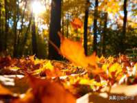太原尚丰德贸易有限公司