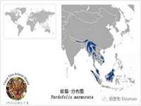 太原尚丰德贸易有限公司