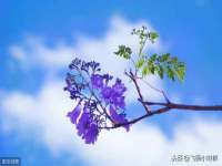太原尚丰德贸易有限公司