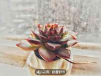 太原尚丰德贸易有限公司