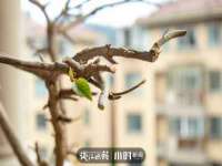 太原尚丰德贸易有限公司