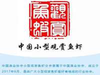 太原尚丰德贸易有限公司