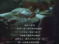 太原尚丰德贸易有限公司