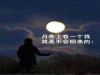 太原尚丰德贸易有限公司