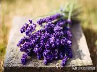 太原尚丰德贸易有限公司