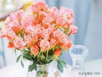 太原尚丰德贸易有限公司